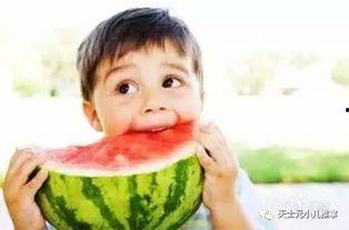 娱乐吃瓜君说二豆,二豆背后的故事与真相